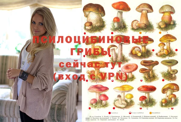 бошки Балабаново
