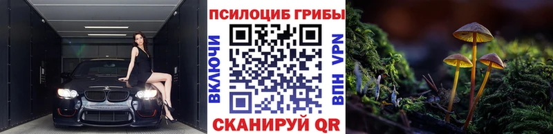 Галлюциногенные грибы Magic Shrooms  Каменск-Уральский 